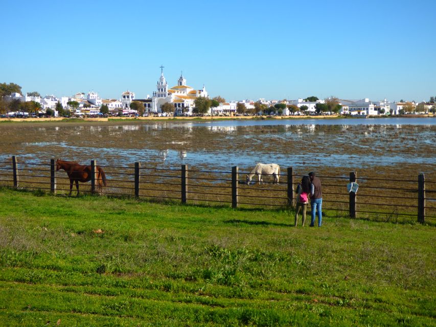 Doñana National Park Off-Road Tour from Seville - Entering Doñana by 4WD, not just by road
