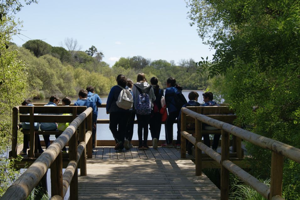 Doñana National Park Off-Road Tour from Seville - Coto del Rey: royal hunting grounds and the Iberian lynx search