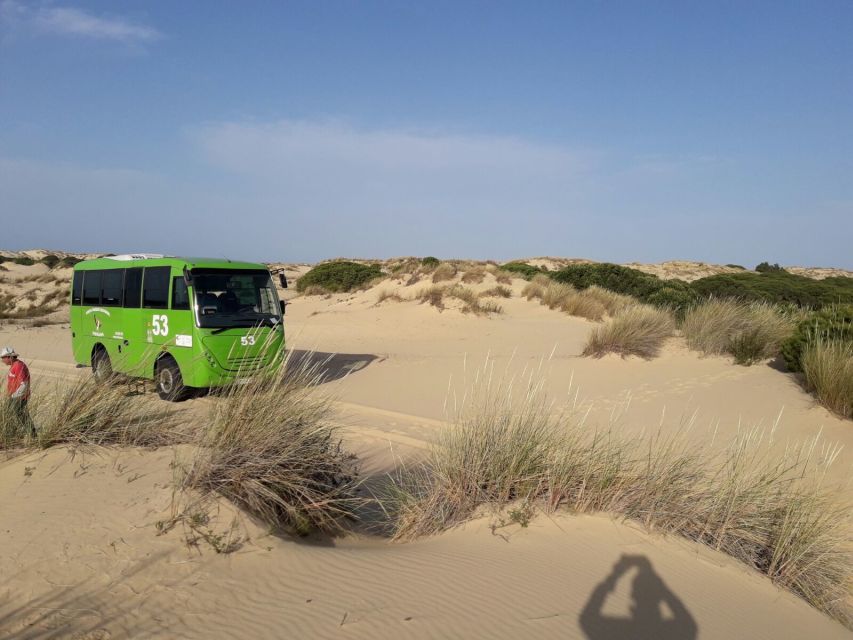 Doñana National Park Off-Road Tour from Seville - Price and value: is $105 per person fair?