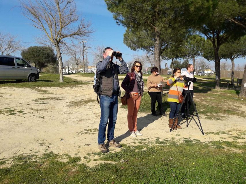 Doñana National Park Off-Road Tour from Seville - Comfort, timing, and what to pack for an off-road day