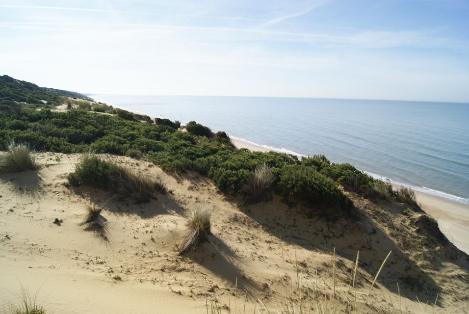 Doñana National Park Off-Road Tour from Seville - Seville pickup and the long ride toward El Rocío