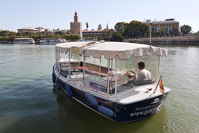 Eco-Cruise by Guadalquivir River - Onboard Experience: Quiet Eco Boat, Staff, and Recorded Audio