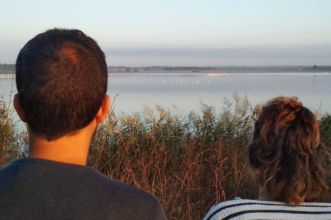 El Rocio, Donana Natural Park and Matalascanas Beach Day Trip from Seville - Doñana by 4WD: marshes, dunes, and the wildlife search