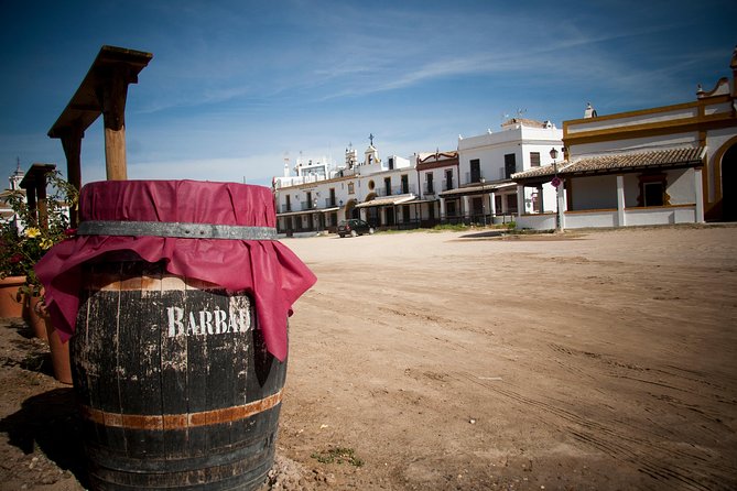 El Rocio, Donana Natural Park and Matalascanas Beach Day Trip from Seville - El Rocío: the pilgrimage village and the Virgin of El Rocío