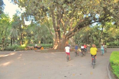 Electric Bike Rental 3 hours - Where You Can Aim: Bike Lanes, Parks, and the River