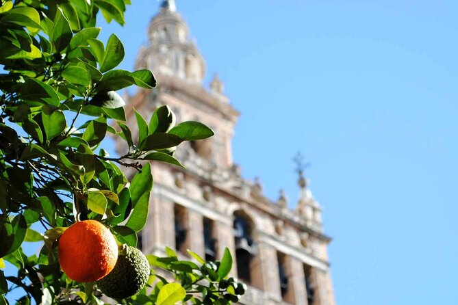 Essential Seville Tour - Seville Cathedral + Giralda: the city’s emblem, explained step by step