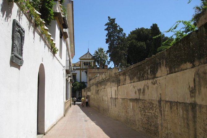Essential Seville Tour - Guide quality: why Laura and Valentin keep getting mentioned