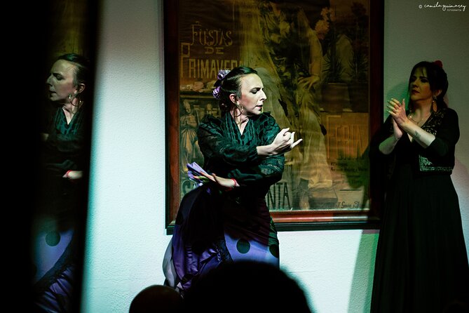 Flamenco Show in Seville at Bar and Tapas - Key things to know before you go