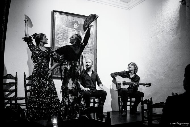 Flamenco Show in Seville - La milonga tablao - Practicalities That Matter on the Ground