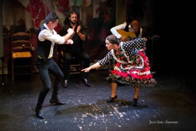 Flamenco Show Tickets to the Triana Flamenco Theater - What your ticket actually does: Cristina Heeren Foundation support