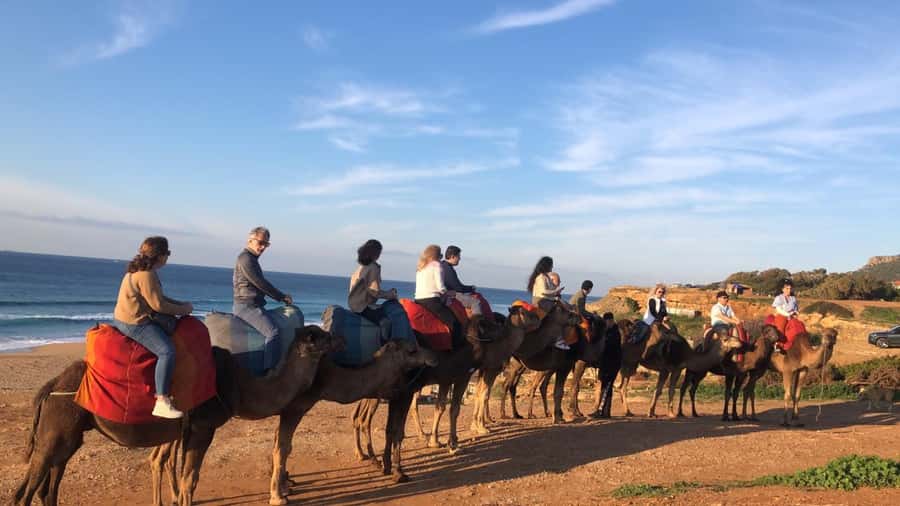 From Sevilla: Private Tangier Tour - Achakar beach camels: fun photos, but don’t forget the wind and time