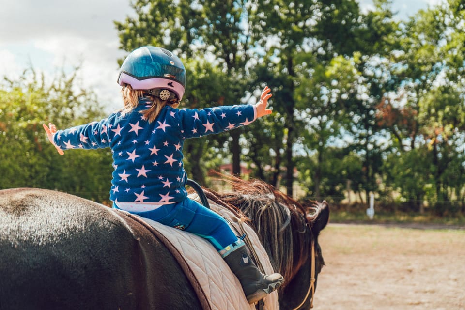 From Seville: Andalusian Horseback Ride - Key Things You’ll Notice on This Ride
