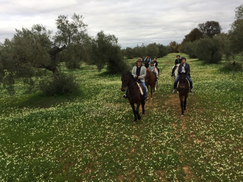 From Seville: Andalusian Horseback Ride - Tips to Prepare: What to Wear and How to Make It Feel Effortless