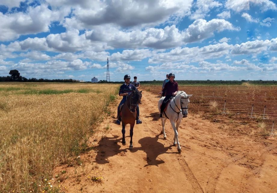 From Seville: Andalusian Horseback Ride - From Seville to Bollullos de Mitacion: The Reset Before You Saddle Up