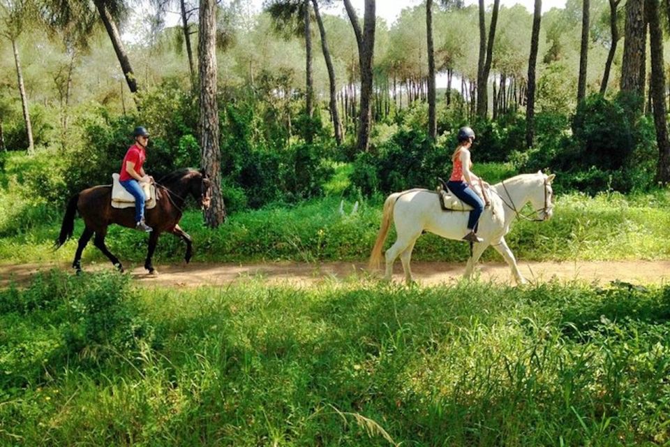 From Seville: Andalusian Horseback Ride - The Ranch Experience: Family-Run, Animal-Loving, and Friendly