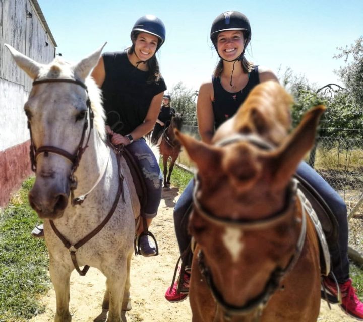 From Seville: Andalusian Horseback Ride - Helmets, Stirrups, and Safety: The Practical Stuff You’ll Actually Feel