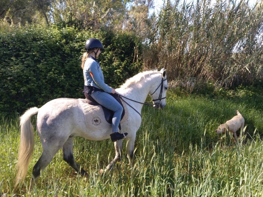 From Seville: Andalusian Horseback Ride - Small Group Size: Why “Up to 8” Changes the Experience