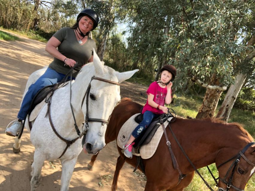 From Seville: Andalusian Horseback Ride - Price and Value: Is $164 Worth It?