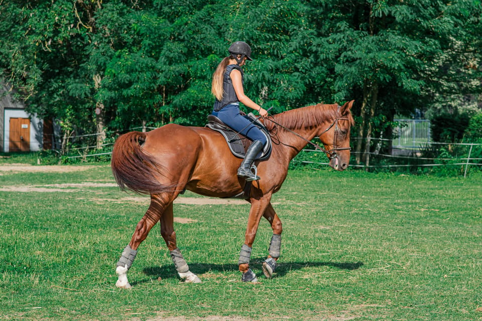 From Seville: Andalusian Horseback Ride - Who This Horse Ride Suits Best (and Who Might Prefer Something Else)
