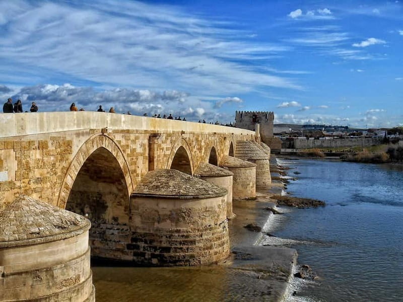 From Seville: Cordoba Day Trip with Guided Tour - Key highlights that make this trip worth your time