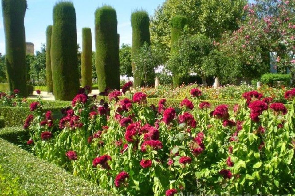 From Seville: Cordoba Full-Day Tour with Tickets Included - What to Bring (So You Don’t Waste the Day on Comfort Problems)