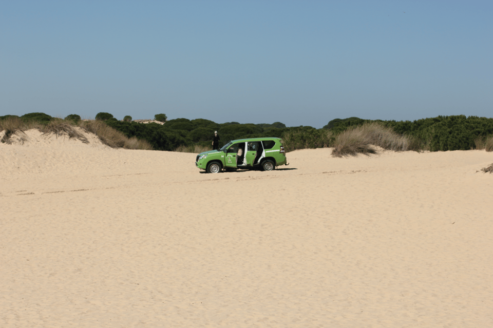 From Seville: Doñana, El Rocio, and Matalascañas Beach Tour - Seville to Doñana: Why This Day Trip Makes Sense
