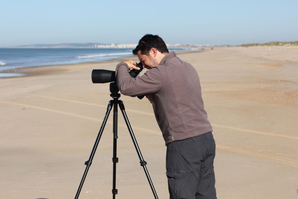 From Seville: Doñana, El Rocio, and Matalascañas Beach Tour - Should You Book This Seville to Doñana, El Rocío, and Matalascañas Tour?