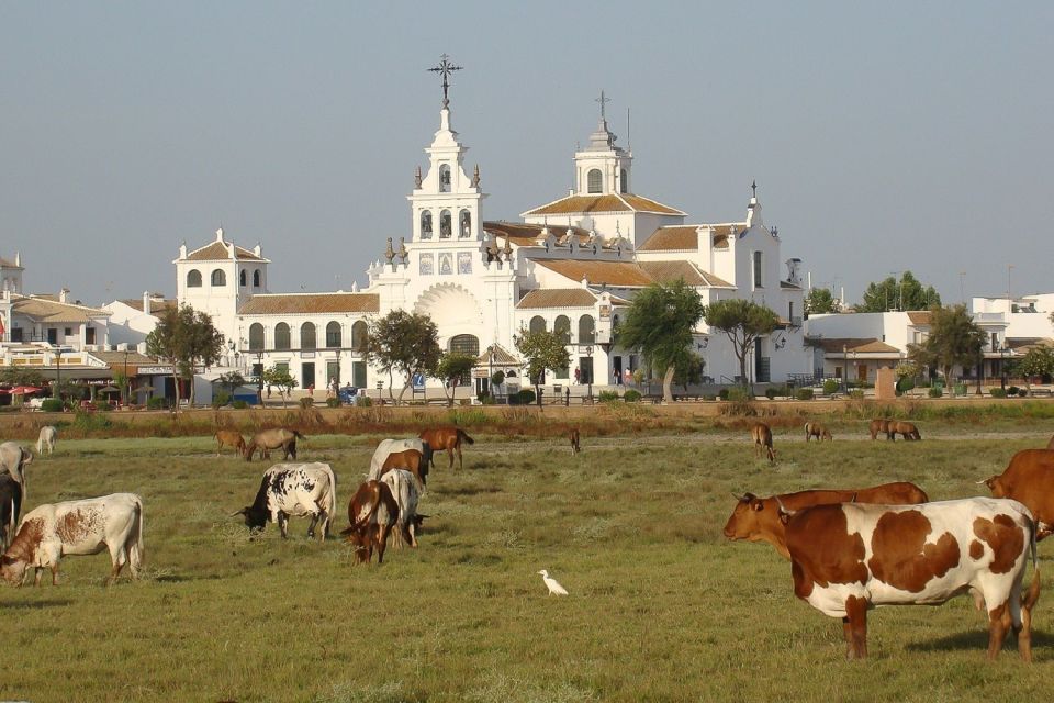 From Seville: Doñana National Park Day Trip - Price and what makes it worth $105