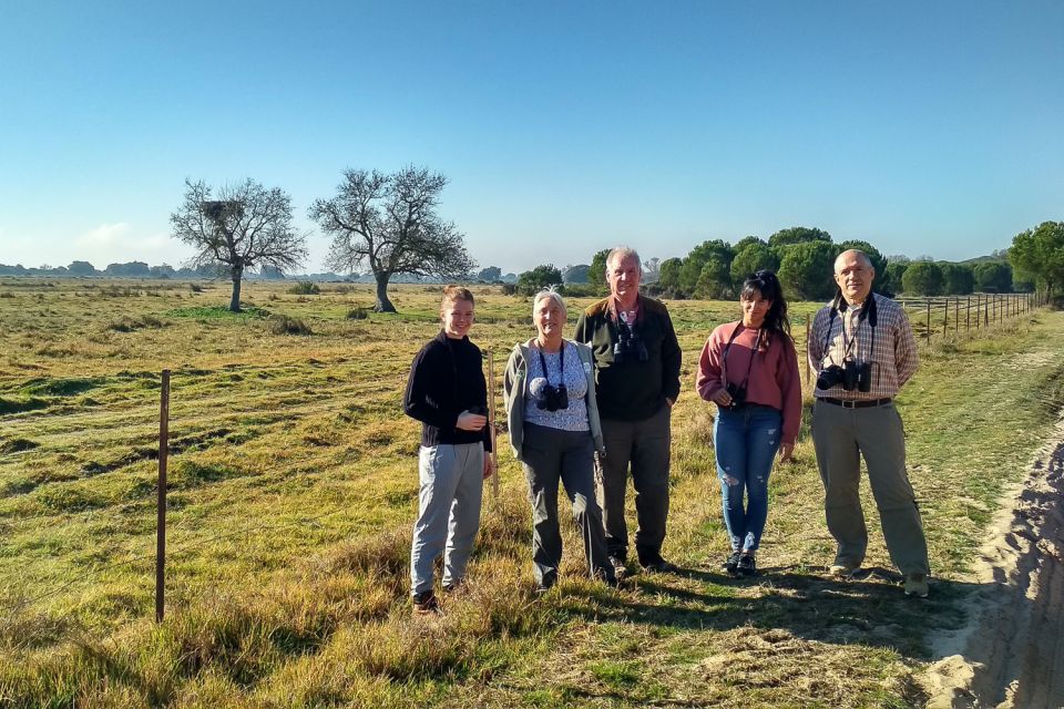 From Seville: Doñana National Park Day Trip - Rice fields, storks, and how the guide shapes your odds