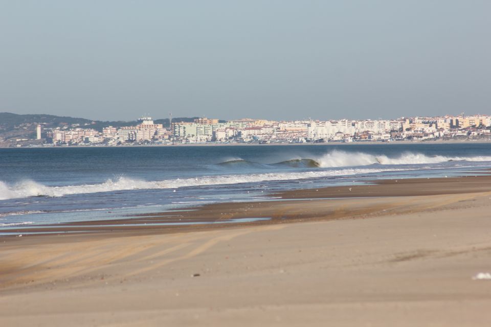 From Seville: Doñana National Park Full-Day Private Tour - Doñana in a 4WD vehicle: lagoons, dunes, and wildlife searching