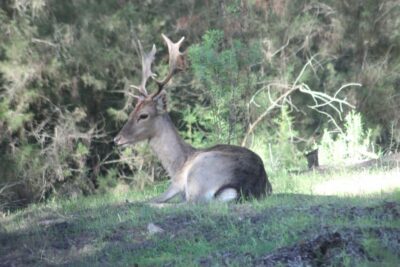 From Seville: Doñana National Park Full-Day Private Tour - The Seville-to-Doñana drive: using the travel time well