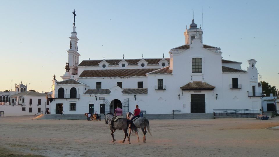 From Seville: Doñana National Park Full-Day Private Tour - Off-road comfort and what to expect when the terrain changes