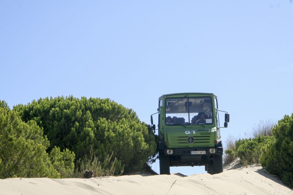 From Seville: Doñana Natural Park, El Rocio and Matalascañas - Why Doñana, El Rocío, and Matalascañas fit together
