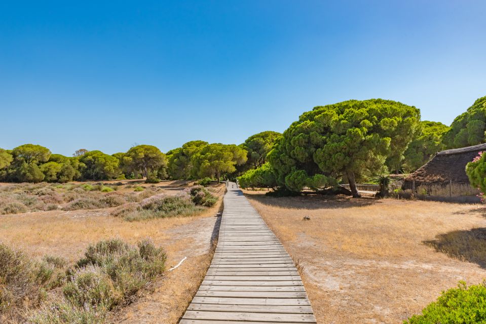 From Seville: Doñana Natural Park, El Rocio and Matalascañas - Price and logistics: whether $105 is a smart deal