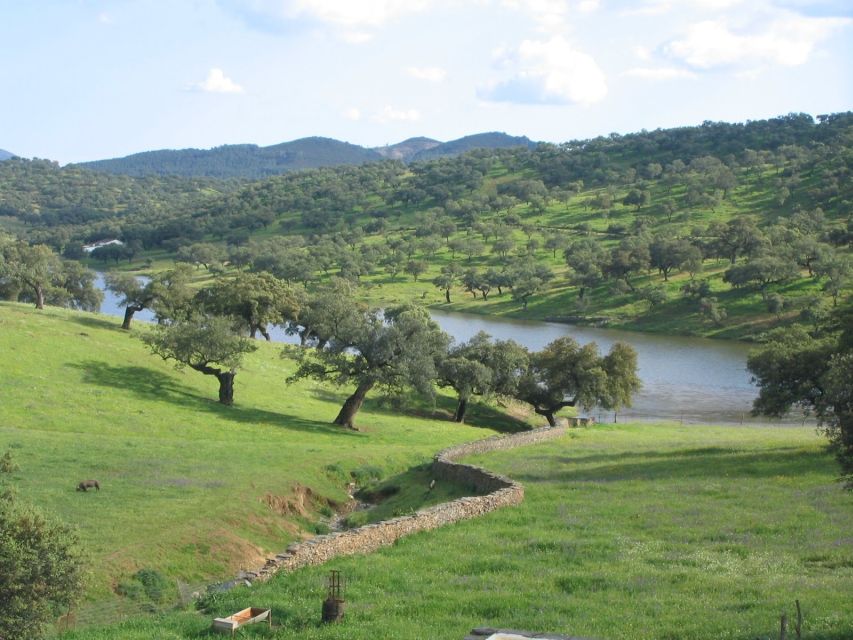 From Seville: Full-Day Aracena & Rio Tinto Mines Tour - Rio Tinto Mines: how centuries of mining turned water red