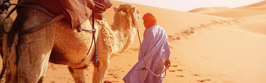 From Seville: Full-Day Tour to Tangier - Moroccan lunch: included, but plan for the schedule