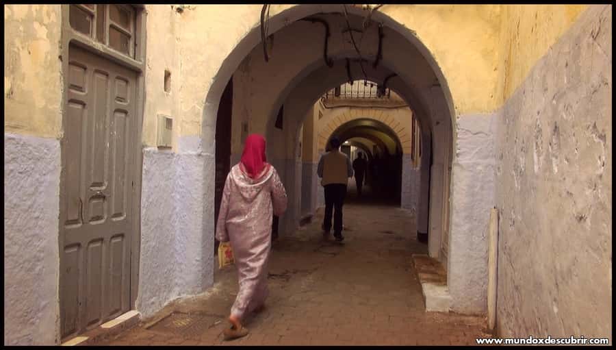 From Seville: Full-Day Tour to Tangier - Optional camel ride: a classic choice with real comfort questions