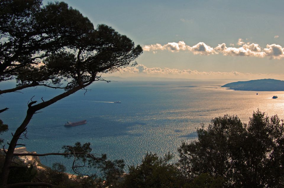 From Seville: Full-Day Trip to Gibraltar - Gibraltar From Seville: What You’re Buying With Your Time and Money