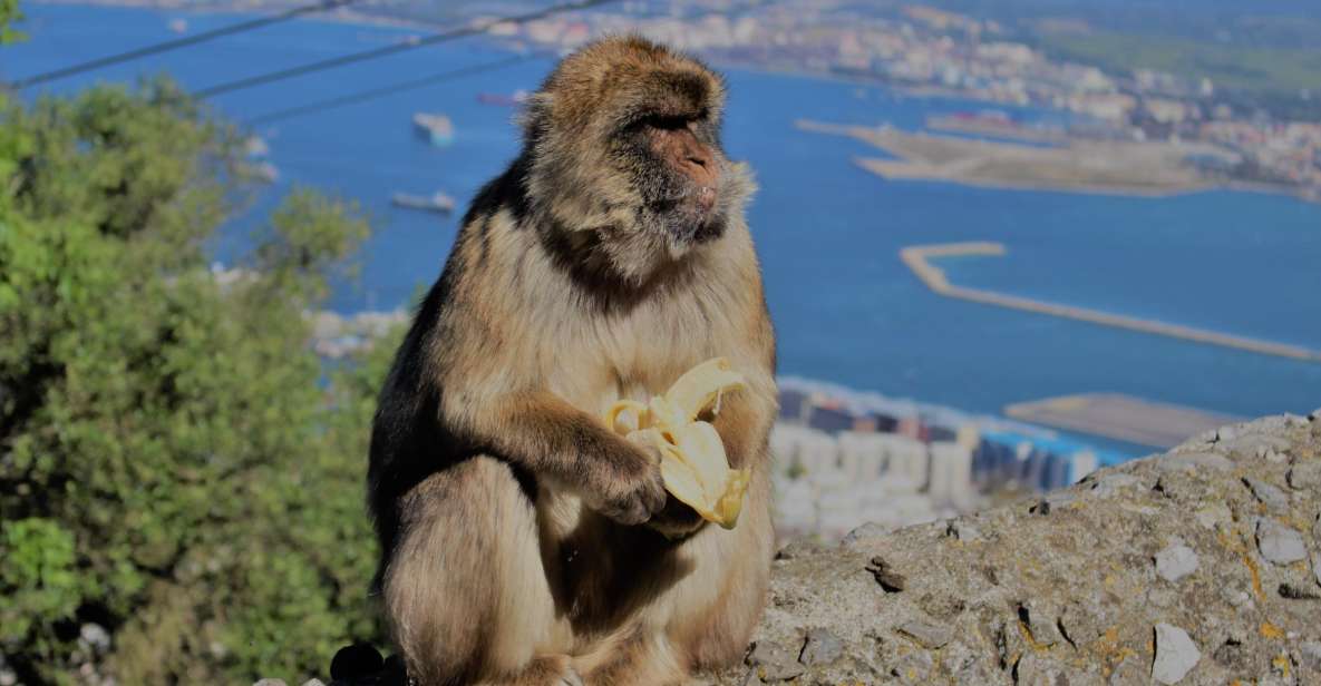 From Seville: Full-Day Trip to Gibraltar - Morning Logistics: Crossing Into Gibraltar Without Losing Your Day