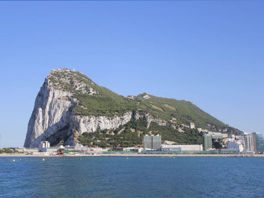 From Seville: Full-Day Trip to Gibraltar - The Rock of Gibraltar: The Africa View That Changes Your Perspective