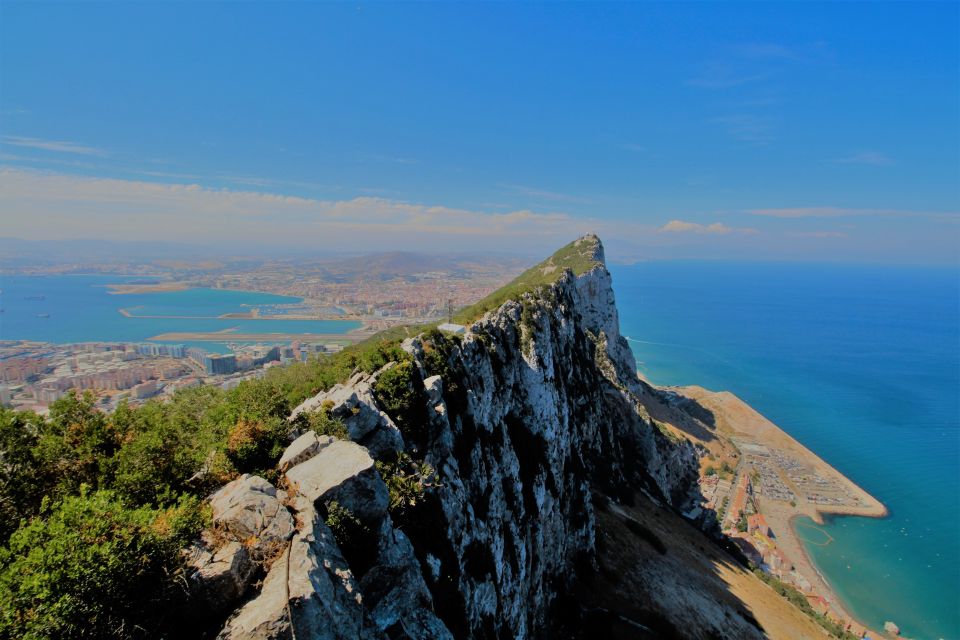 From Seville: Full-Day Trip to Gibraltar - Barbary Apes on the Rock: The Stop Everyone Talks About