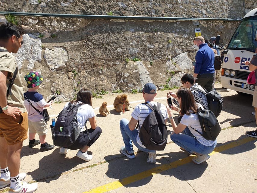 From Seville: Full-Day Trip to Gibraltar - Timing and Pace: What Feels Tight, What Feels Fine