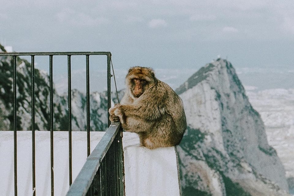 From Seville: Gibraltar Day Trip - Pillars of Hercules: A Myth Stop With Real-World Energy