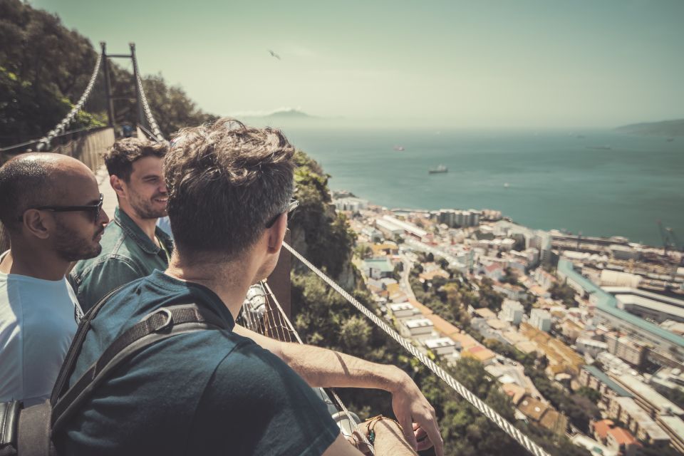 From Seville: Guided Day Trip to Gibraltar - Barbary apes at the Natural Upper Rock Reserve: the moment you’ll remember
