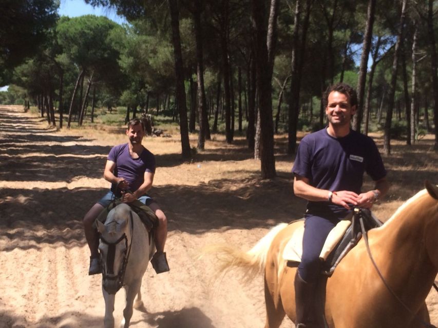 From Seville: Horseback Riding Experience in Aljarafe - From Calle Trajano to Aljarafe: the ride out of the city