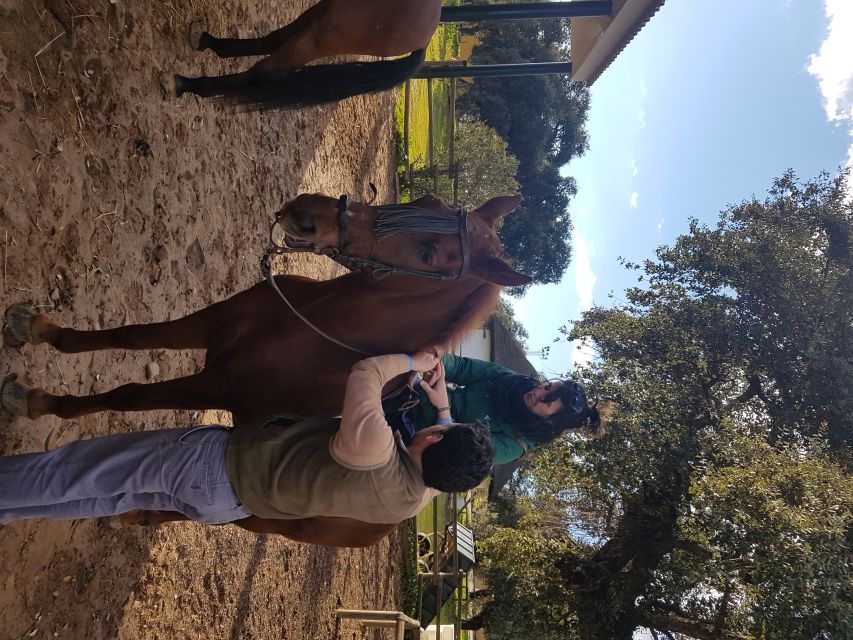 From Seville: Horseback Riding Experience in Aljarafe - Posada Ecuestre Dehesa Boyal: meeting the horses and getting oriented