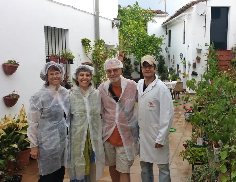 From Seville: Iberian Ham Full-Day Tour to Aracena - Traditional village time, then Aracena’s slower pace (with lunch built in)