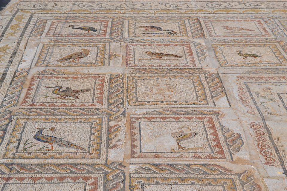 From Seville: Italica Roman City Tour - Mosaics, Traianeum, statues, and baths: the details that make it feel lived-in