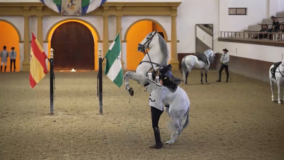 From Seville: Jerez, Cádiz and Andalusian Horses - Key things that make this day trip worth your time