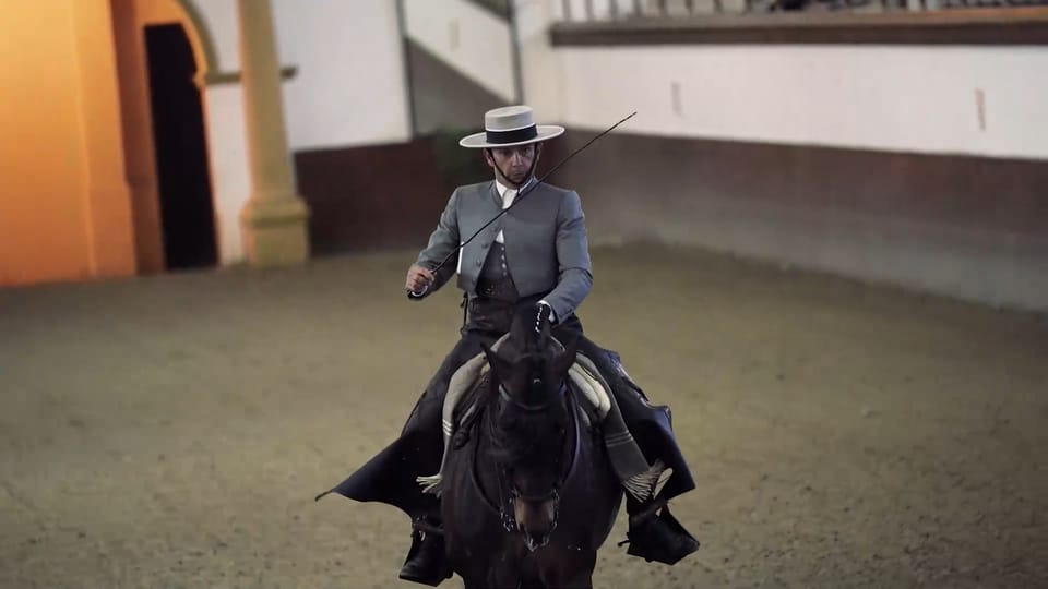 From Seville: Jerez, Cádiz and Andalusian Horses - Royal Andalusian School of Equestrian Art: watching the horses dance